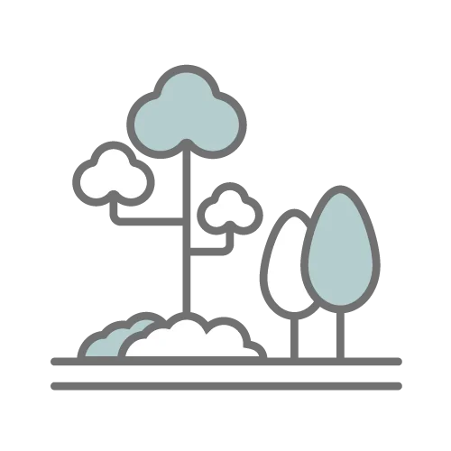 afforestation